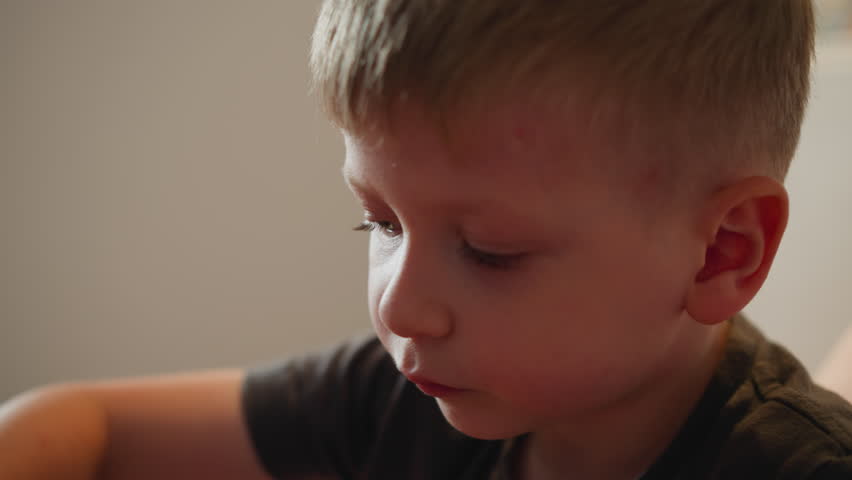 Close up of little child eating juicy black grapes from bunch holding tightly with small hand, focused face showing enjoyment of healthy snack, soft natural light