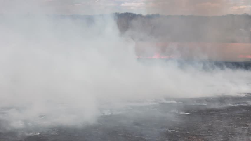 Fire and smoke devour a field in an attempted controlled burn to help stop an approaching forest fire. B-roll representative of Carolina fires.