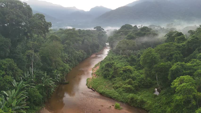 Atlantic Forest in Serra do Mar Mountains - Ubatuba, São Paulo, Brazil