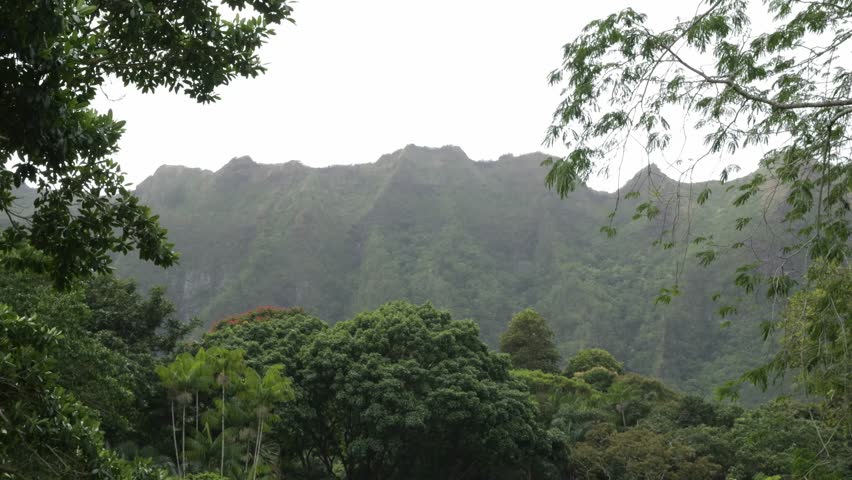 Static shot of a large mountain in a botanical garden with the nature in front of it