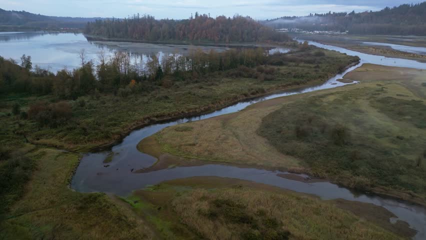 Aerial View of Serene River Flowing Through Green Landscape in British Columbia, Canada