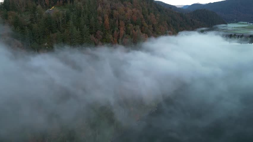 Fog Rolls Over Autumn Forest and Lake in British Columbia, Canada