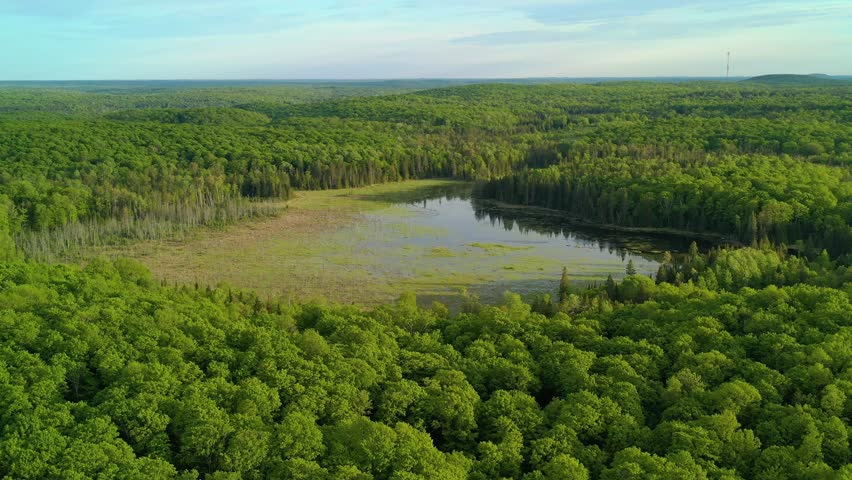 Aerial view flying over a lush green forest and a marsh during the spring at sunset. Hills and woods go on in the background with a communication tower.