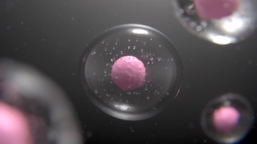 Realistic Animated Stem Cell in HD Video | Stem Cell video in HD