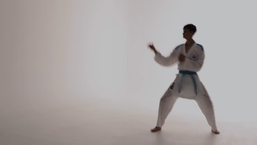 Karate fighter practicing punches and stance