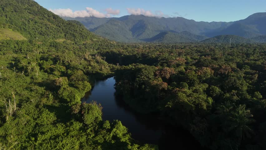 Aerial view of atlantic forest and Puruba River, Puruba Beach - Ubatuba, São Paulo, Brazil