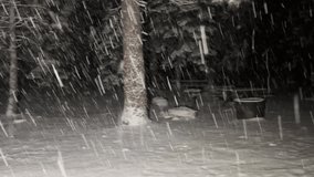 Heavy snow falls on a quiet pine forest at night. The dark, snow-covered trees and illuminated snowflakes create a serene yet eerie atmosphere. - Powered by Shutterstock - Get 15% off with code: PIKWIZARD15