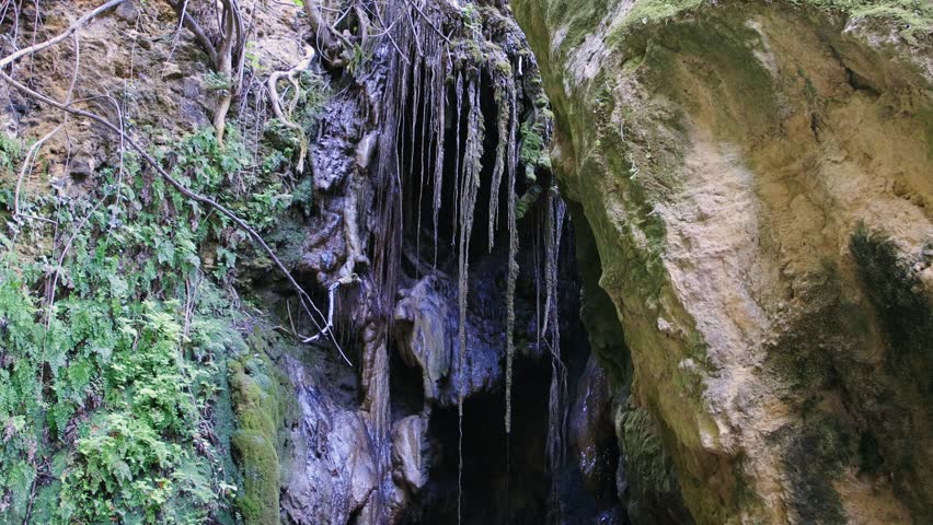 Water trickles from above into a cave over mossy rock and petrified roots hanging from the cliff at Kremioti Waterfall