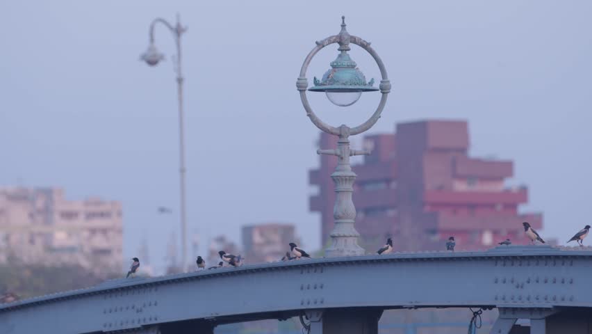The Ellis Bridge is a century-old bridge in Ahmedabad, Gujarat. It bridges the western and eastern parts of the city across the Sabarmati River.
