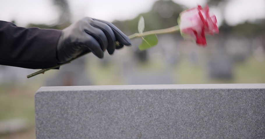 Funeral, cemetery and person with rose on tombstone for remembrance, ceremony and memorial service. Depression, sadness and hands with flower on gravestone for mourning, grief and loss in graveyard