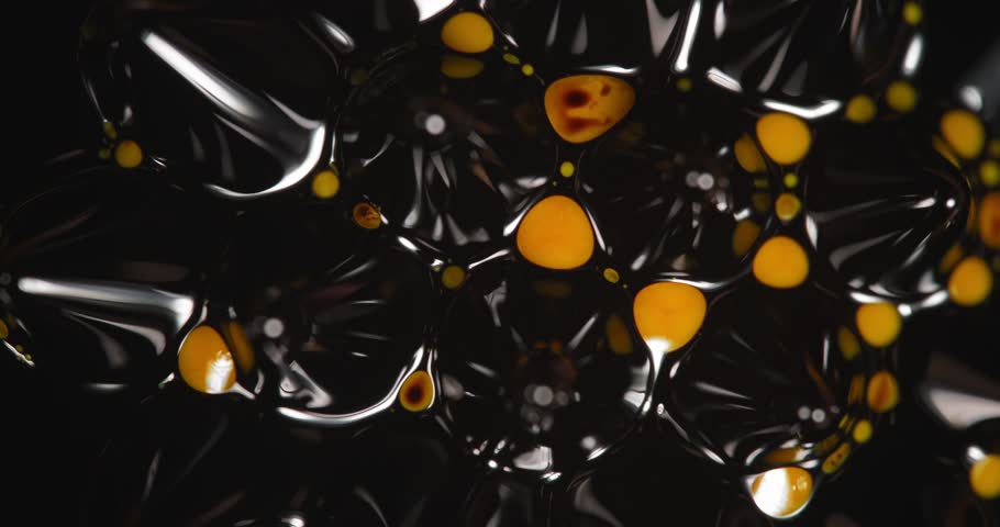 Shutterstock Video