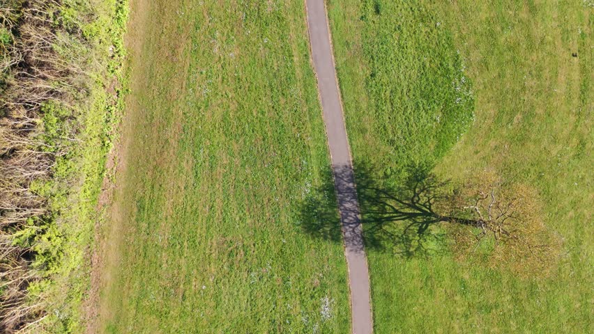 A person walking on a winding path surrounded by lush greenery in Nowton Park, Bury St Edmunds