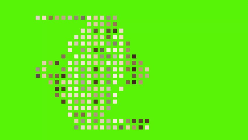 Shutterstock Video