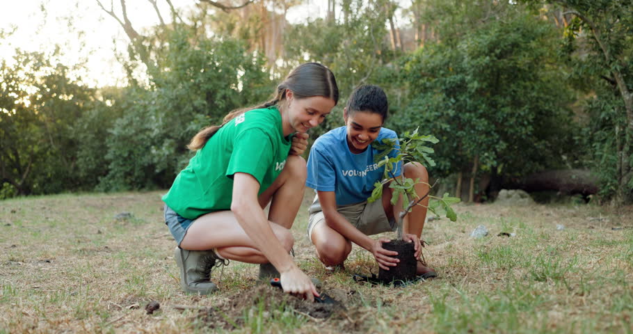 Happy women, volunteer or growth with plant or high five for community service or eco friendly environment. Female people, environmentalist or social worker with smile for NGO or natural conservation