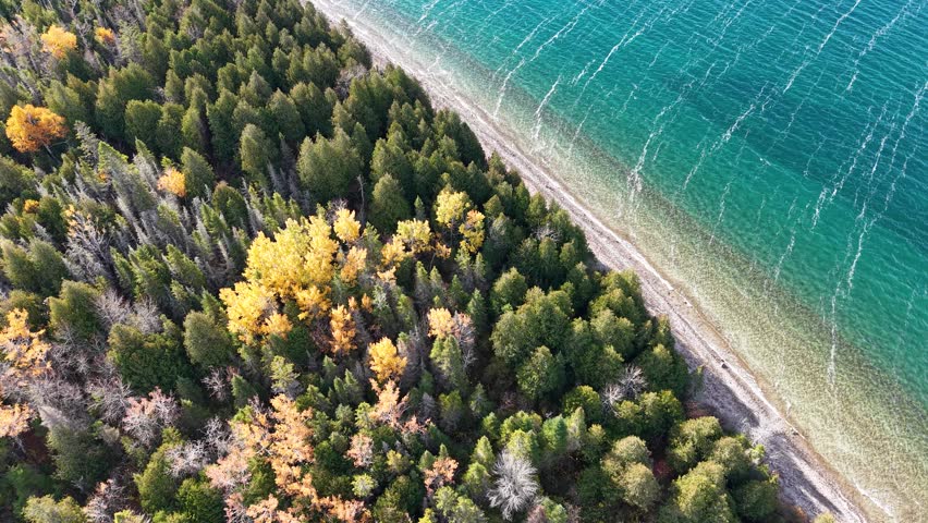 Aerial view of Lake Huron’s turquoise shoreline meeting golden fall foliage in Michigan’s Upper Peninsula