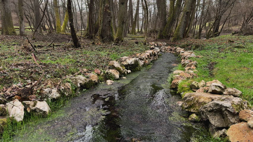 Clear river with stones on the side in the park flow toward a leafless forest with algae forming along the side of the river. cloudy day winter, slow motion.