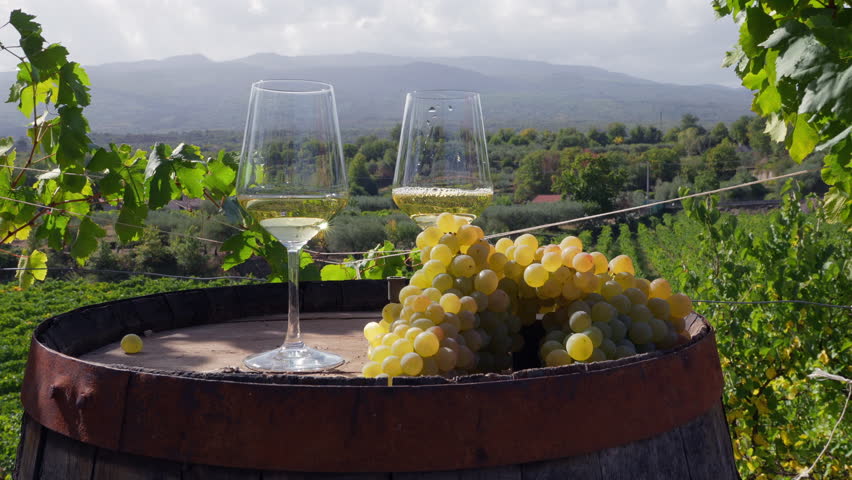Two wineglasses, one full and one empty, and a bunch of white grapes sit on a wooden barrel in a vineyard, with a picturesque view of the valley and distant mountains in the background