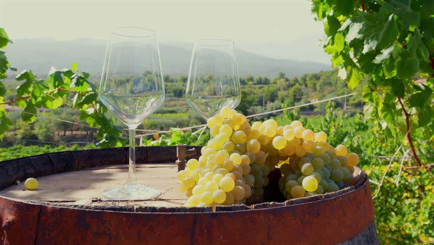 Skilled winemaker or sommelier pouring a glass of crisp white wine on a wooden barrel in a vineyard