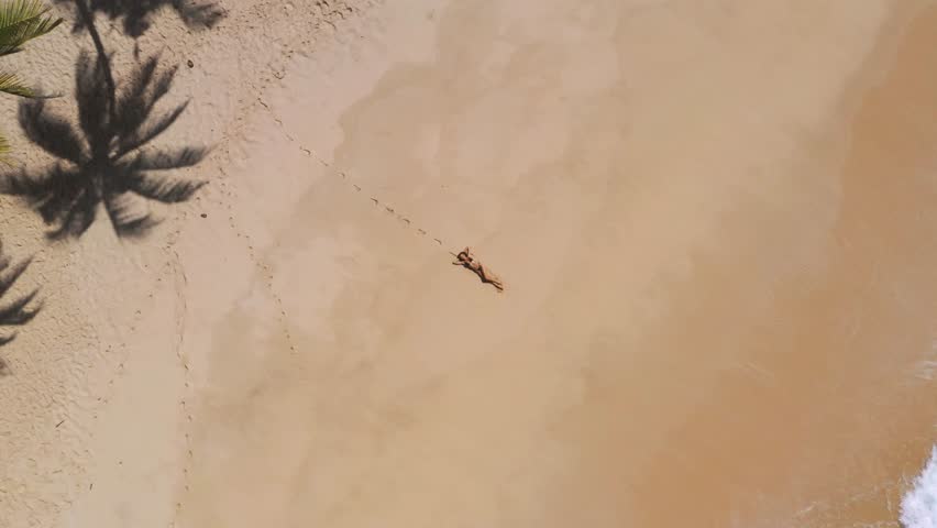 Aerial drone views a beautiful tropical beach with white sand palm trees and clear water and a woman model in a black bikini. Travel and resort leisure conceptual footage with copy space