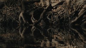 Ethereal Fairy Lights in a Dark Enchanted Forest - Powered by Shutterstock - Get 15% off with code: PIKWIZARD15