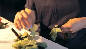 Female hands attach faux leaves to base while creating handmade flower headpiece - Powered by Shutterstock - Get 15% off with code: PIKWIZARD15