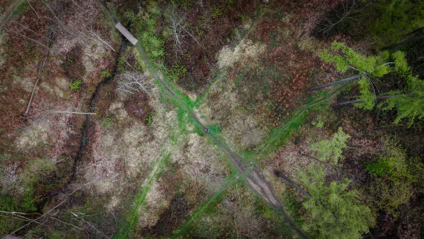 Beautiful spring day in the urban forest