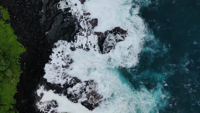 Drone captures vibrant tropical forest bordering rugged black lava rocks and foamy blue ocean waves, showcasing the striking contrast of land and sea from above.
