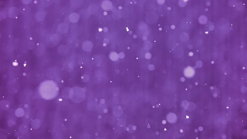 Fluffy snowflakes drift gently down, magical purple winter dream, Slow motion