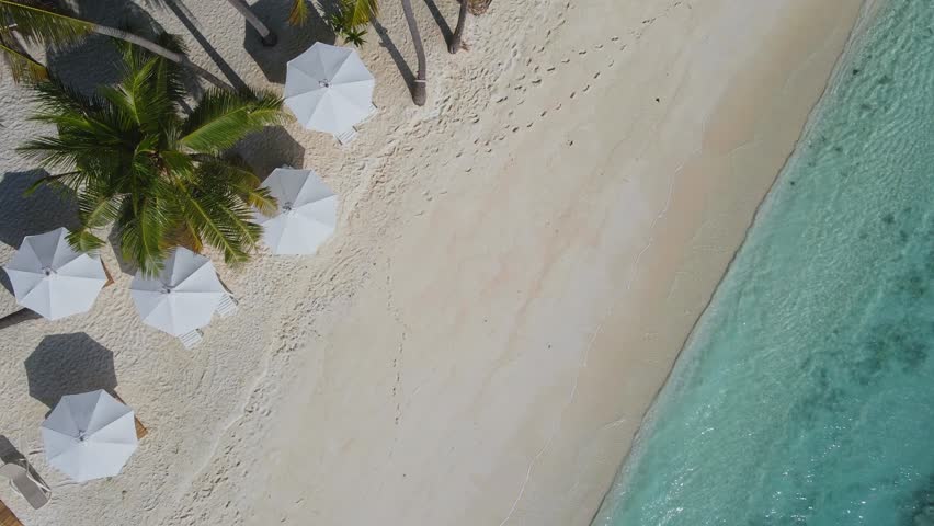 Aerial view of palm trees and sun umbrellas at the sandy beach at ocean coastline.Maldives