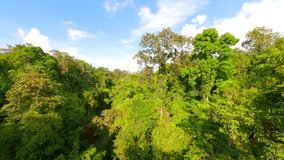 Cinematic FPV drone flight through dense tropical rainforest canopy with vibrant green trees in Thailand - Powered by Shutterstock - Get 15% off with code: PIKWIZARD15