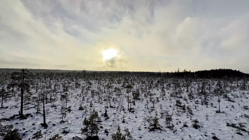 Beautiful winter landscape. Swamp. Sun in the clouds. Panoramic shot. Latvia
