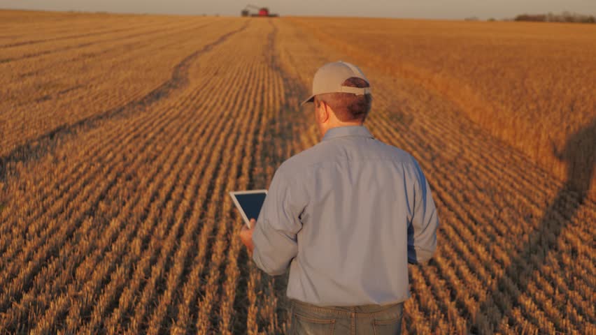 farmer working in wheat field, combine harvester ploughing in wheat field, agriculture tablet, connecting technology with nature, enhancing decision making with data, farming in the digital age, real