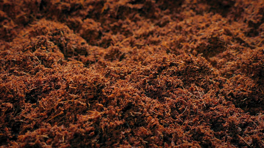 Compost Soil Surface Moving Shot