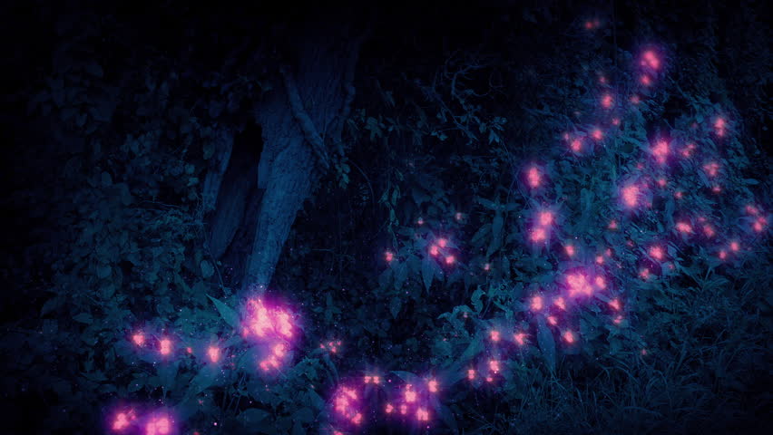 Fantasy Glowing Flowers Plants At Night With Insects Around Them