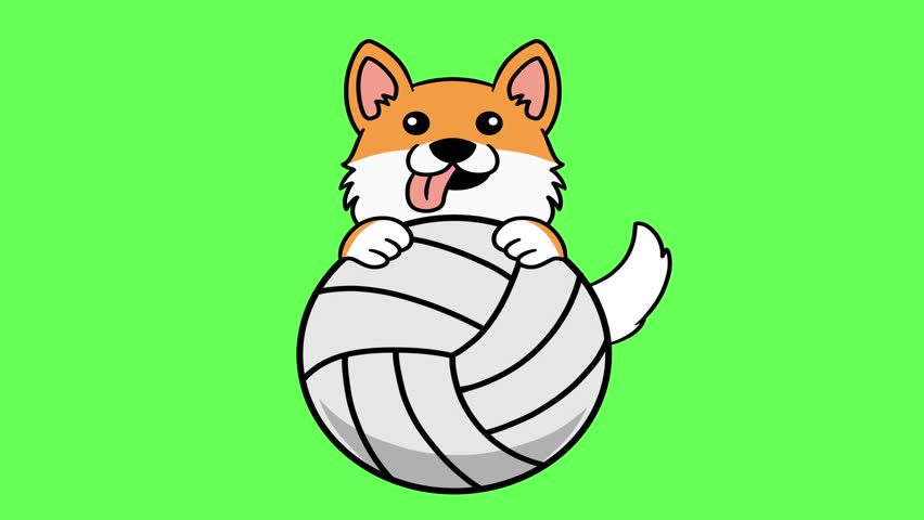 Shutterstock Video