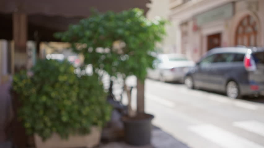 Outdoor scene with blurred background, displaying foliage, cars, and buildings