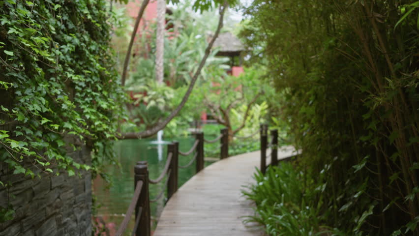 Tropical resort pathway lined with lush greenery offers a tranquil, luxurious outdoor experience amid vibrant plants and a serene atmosphere, perfect for relaxation and rejuvenation.