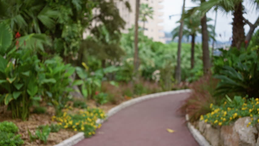 Defocused view of a lush garden path in monaco, showcasing vibrant greenery, palm trees, and colorful flowers with an urban backdrop.