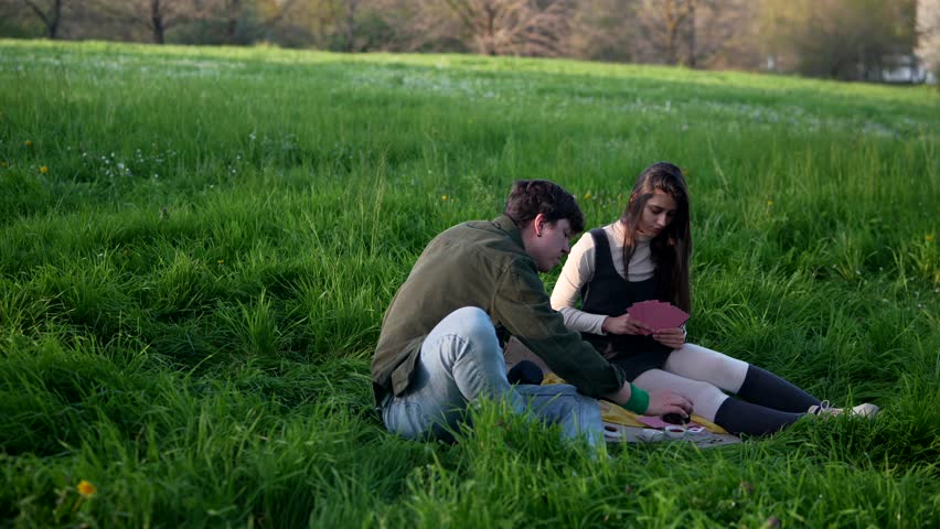 Enjoy a delightful and relaxing picnic experience in a beautifully sunlit green field