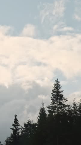 Shutterstock Video