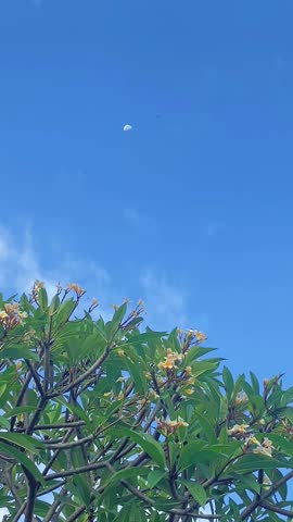 moon in the morning with blue sky
