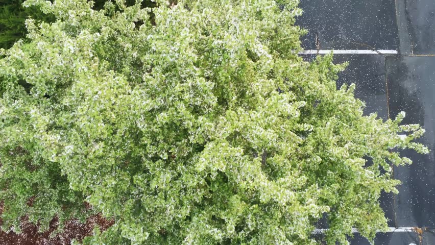 Slow pass over an office building parking lot in spring after a shower