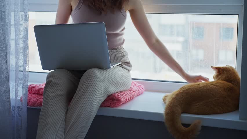 A person enjoys a peaceful afternoon sitting by a window, working on a laptop while gently petting a relaxed orange cat resting nearby. Sunlight pours into the cozy room.