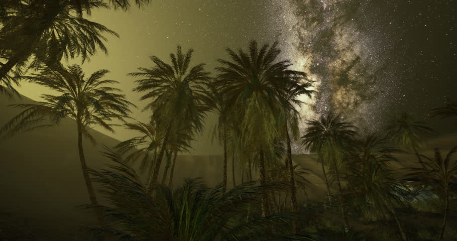 A breathtaking view showcases a starry night sky filled with a swirling galaxy above a grove of palm trees. The scene captures the serene beauty of nature in a desert environment.