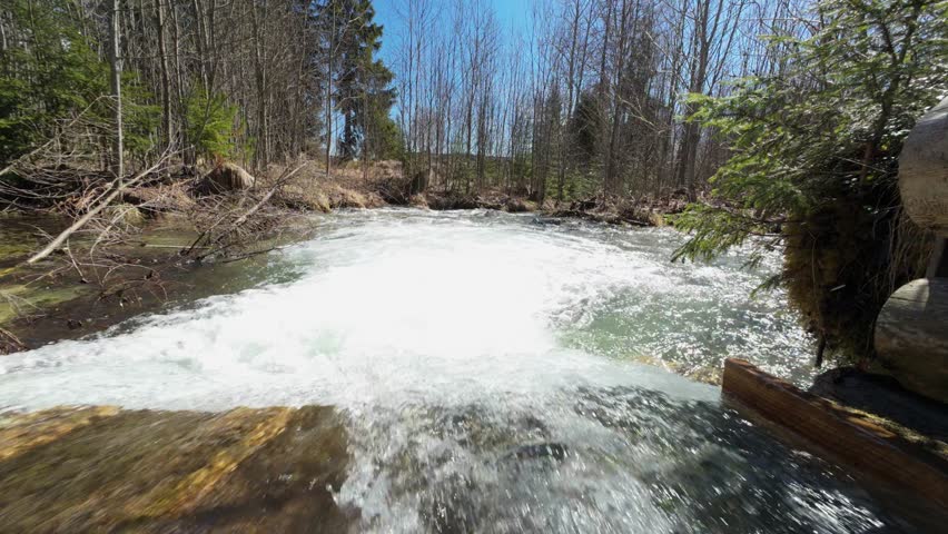 Small Forest Creek Drop Under Wooden Bridge