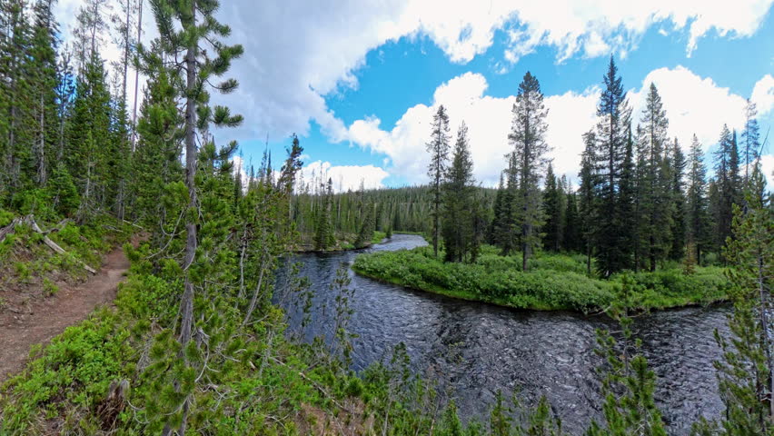 Fall River Bends Alongside Yellowstone Trail in Summer