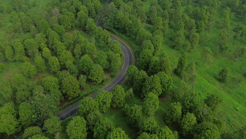 Winding Road Through Plantation Highlands
