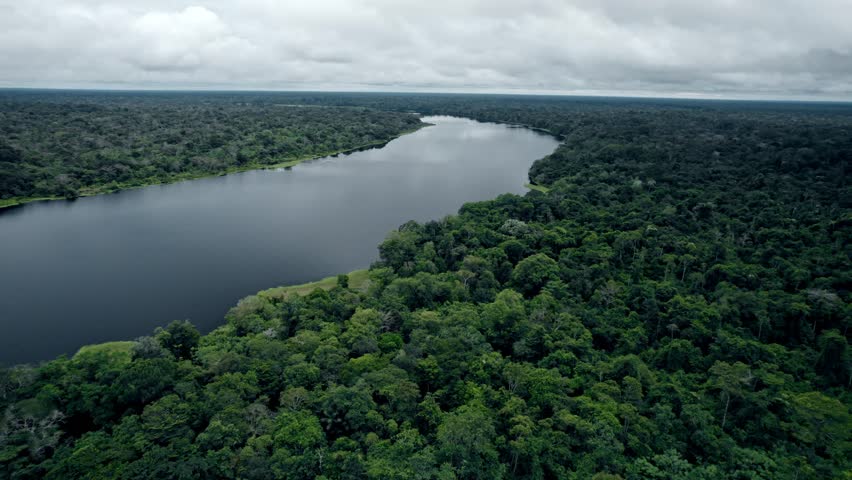 Aerial View of the Dense Amazon Rainforest and River - Amazonas, Colombia