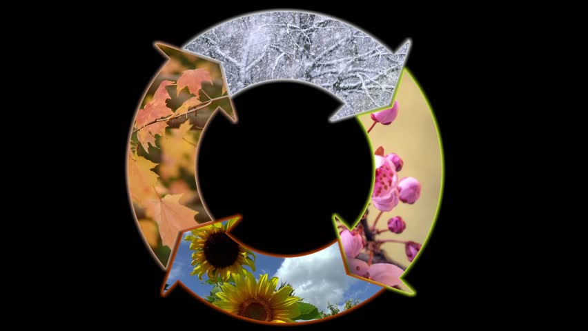 Animation illustrating the four seasons arranged in a circular pattern with four season-specific themes signifying the annual life cycle