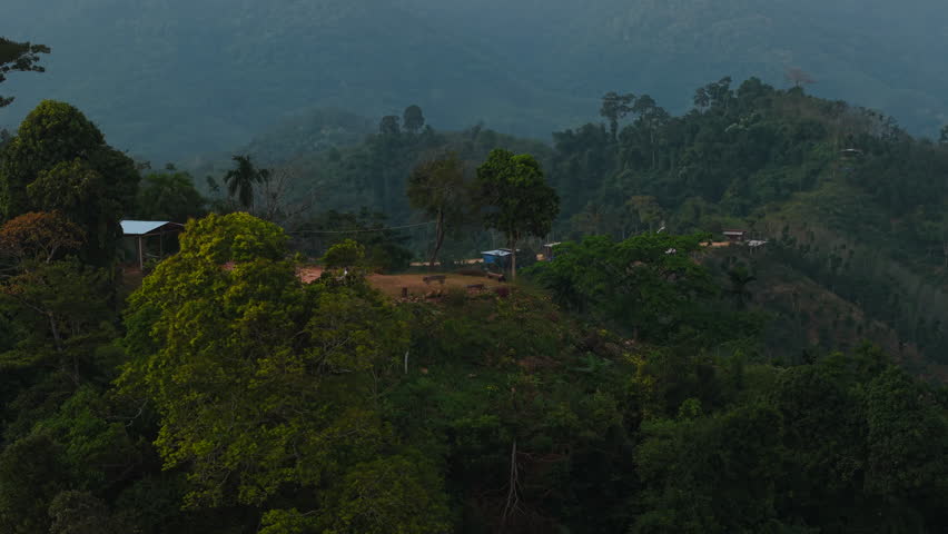 Young biker next to his motorbike balancing a log on the top of the mountain